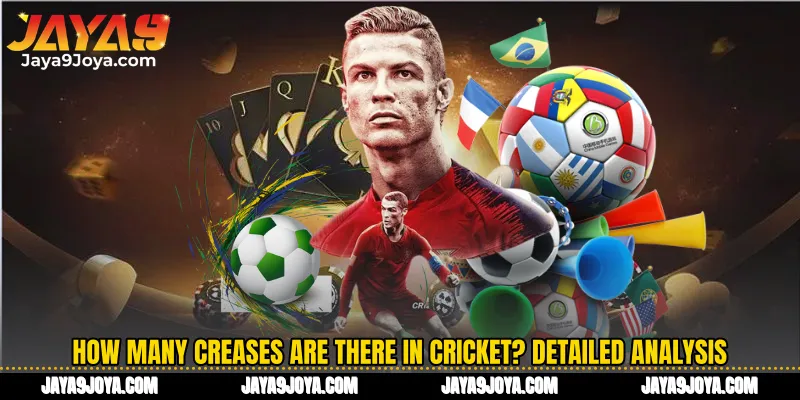 How many creases are there in cricket? Detailed analysis