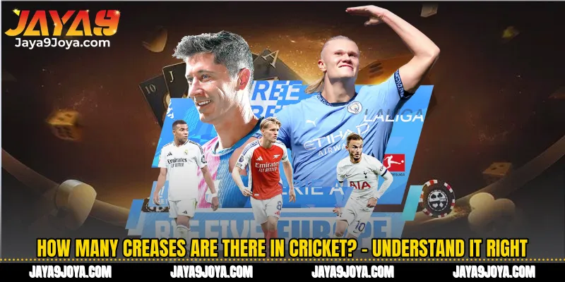 How Many Creases Are There In Cricket? - Understand it Right to Win Big