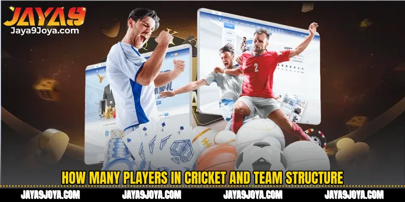 How many players in cricket and team structure