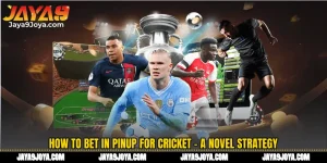 How To Bet In PinUp For Cricket - A Novel Strategy