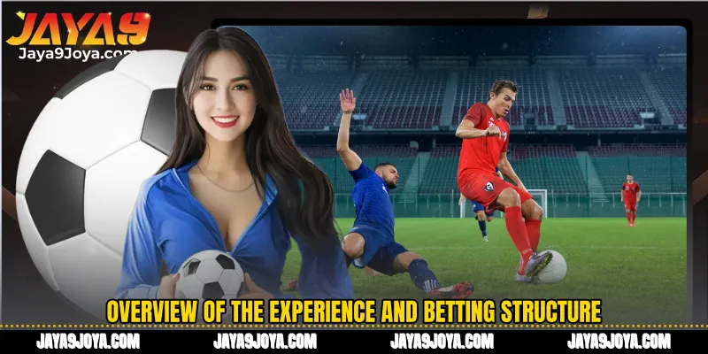Overview of the experience and betting structure