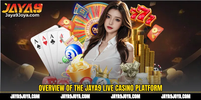 Overview of the Jaya9 Live casino platform