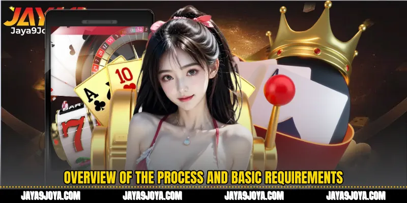 Overview of the process and basic requirements