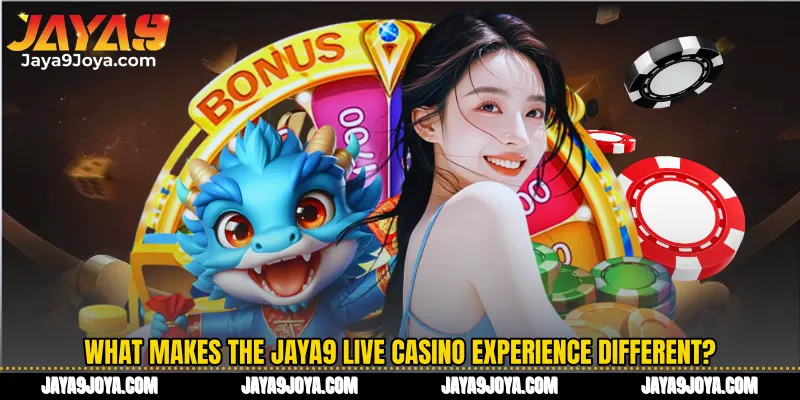 What makes the Jaya9 Live casino experience different?